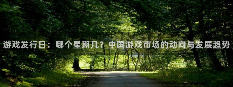 pp电子官网登录注册不了怎么回事：游戏发行日：哪个星期几？中国游戏市场的动向与发展趋势