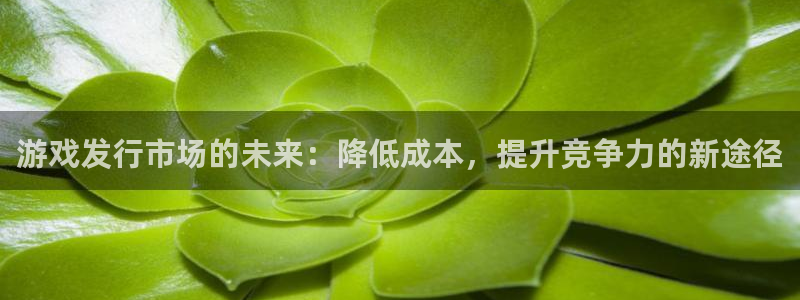 pp电子官网游戏平台介绍