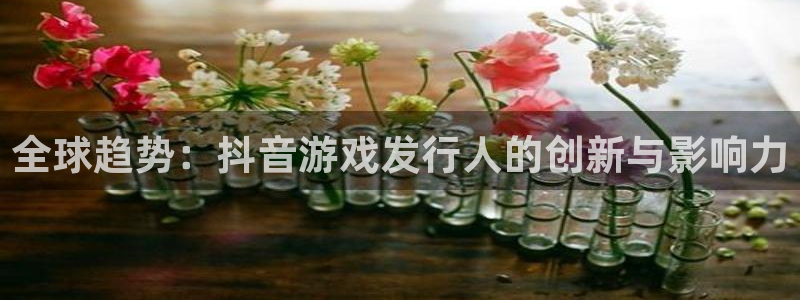 pp电子涂料(北京)有限公司