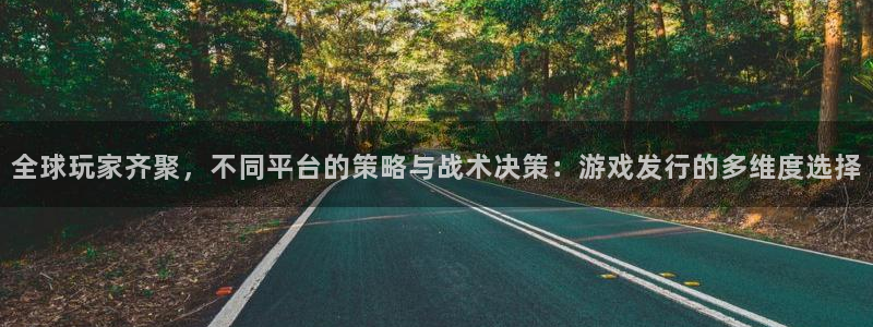 江苏pp电子人力资源有限公司怎么样：全球玩家齐聚，不同平台的策略与战术决策：游戏发行的多维度选择