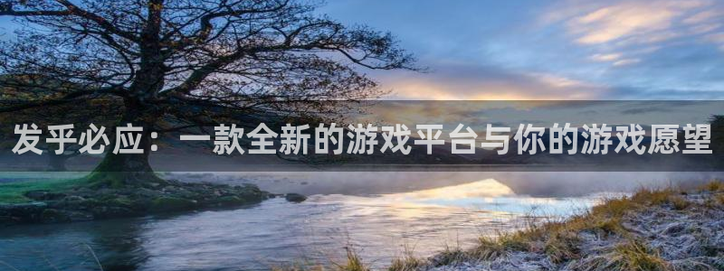 pp电子子公司怎么样
