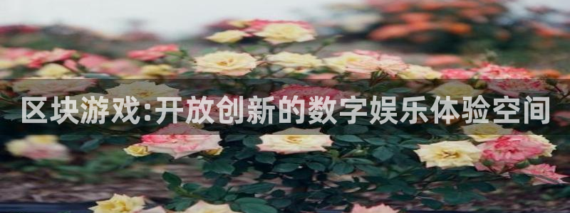 pp电子官网登录注册账号密码：区块游戏:开放创新的数字娱乐体验空间