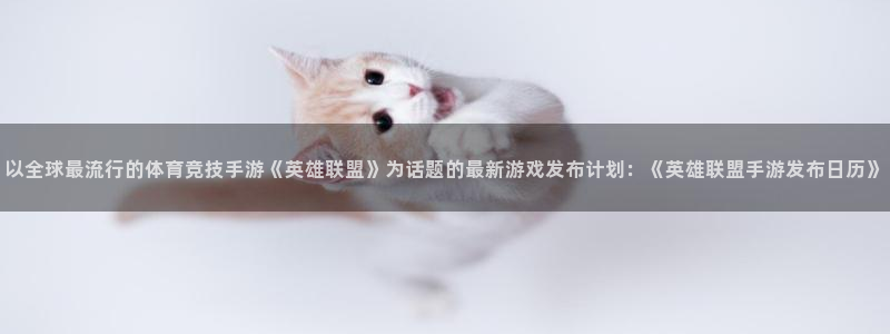 pp电子官网分红