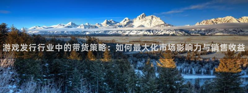 pp电子官网解绑银行卡怎么解绑：游戏发行行业中的带货策略：如何最大化市场影响力与销售收益