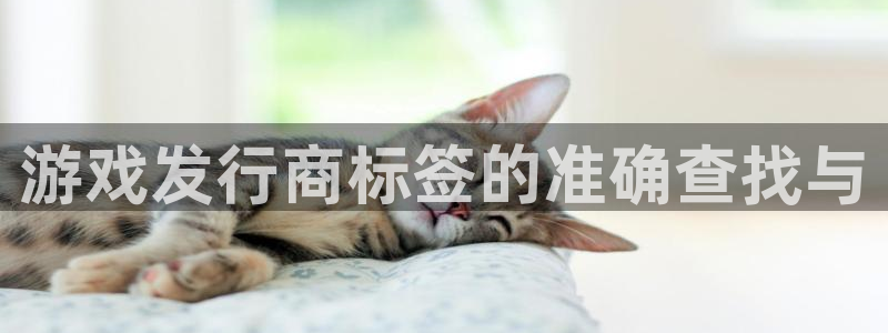 pp电子是什么品牌