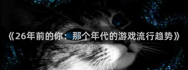 四川pp电子科技有限公司