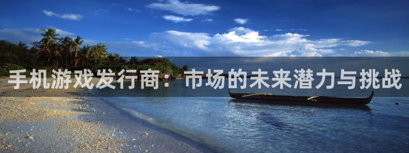 pp电子子经理人：手机游戏发行商：市场的未来潜力与挑战