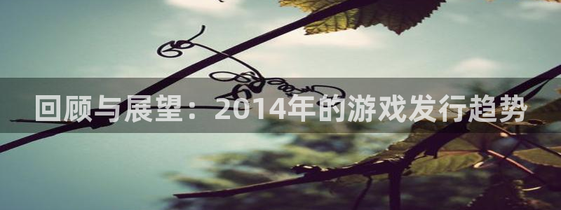 pp电子官网的奇趣腾讯是真的吗：回顾与展望：2014年的游戏发行趋势