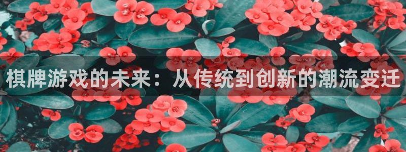 pp电子lvnces官网：棋牌游戏的未来：从传统到创新的潮流变迁