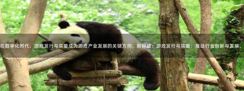 pp电子官网代理开号多少钱
