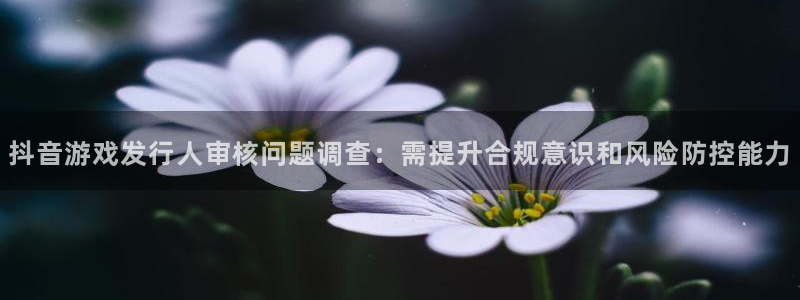 pp电子官网注册方法是什么：抖音游戏发行人审核问题调查：需提升合规意识和风险防控能力