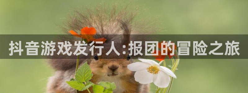 广东pp电子电子科技有限公司：抖音游戏发行人:报团的冒险之旅