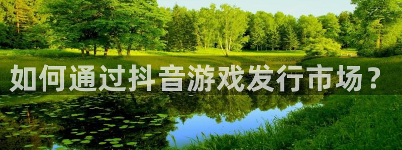 pp电子平台登录入口官网