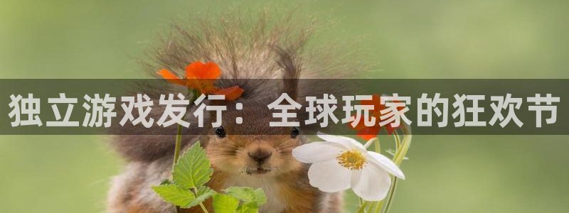 pp电子电子商务有限公司怎么样知乎