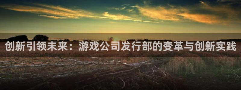 pp电子官网下载分分彩：创新引领未来：游戏公司发行部的变革与创新实践